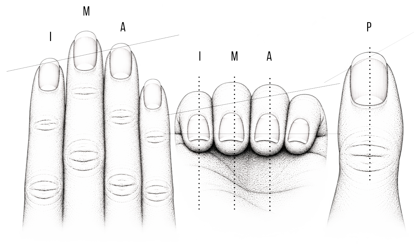 Diagram of finger positions I, M, A, P used for classical guitar right-hand technique